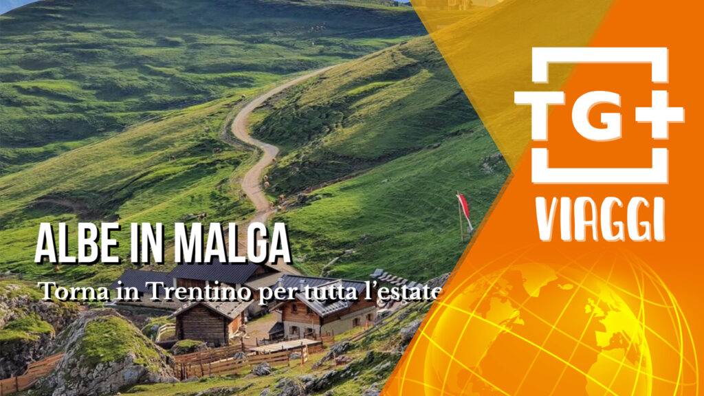 albe in malga_tg_plus_viaggi