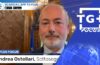 Tribunale della Pedemontana presidio per il Veneto - TG Plus