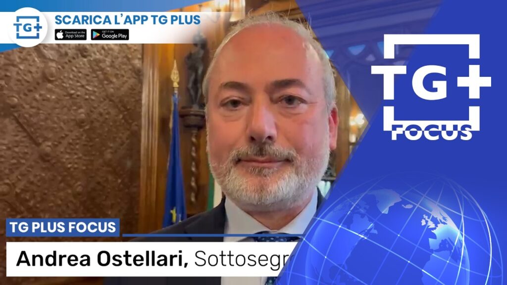 Tribunale della Pedemontana presidio per il Veneto - TG Plus