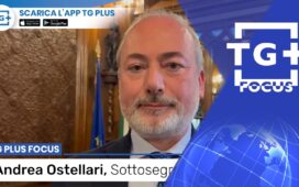 Tribunale della Pedemontana presidio per il Veneto - TG Plus